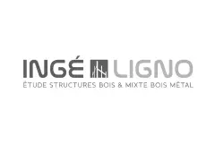 Logo - Ingéligno